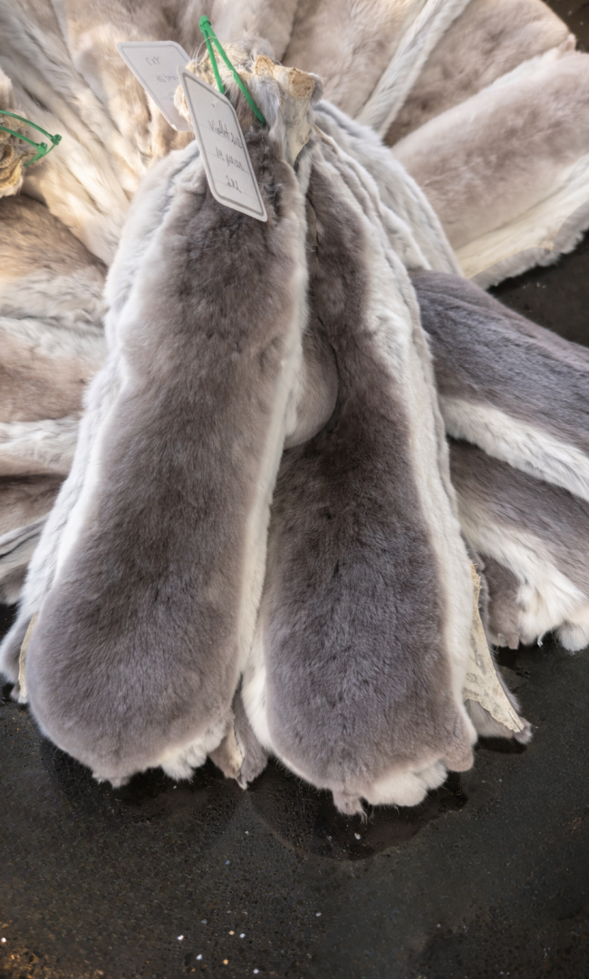 ChatGPT Image 16 déc. 2025, 21_36_02 - Modifié