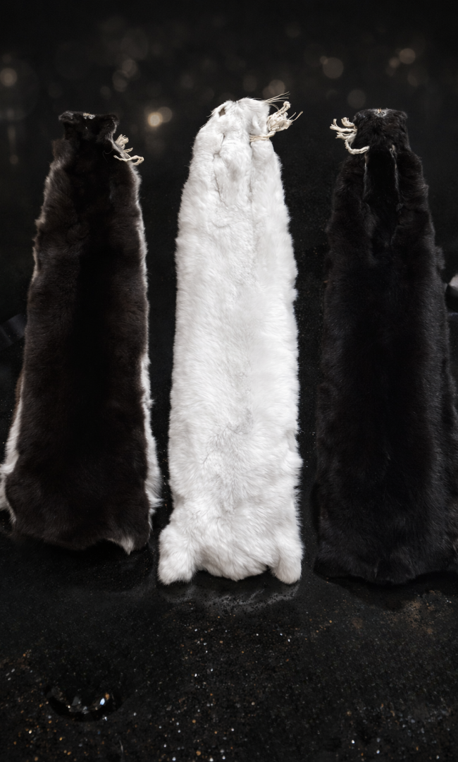 ChatGPT Image 16 déc. 2025, 21_37_46 - Modifié