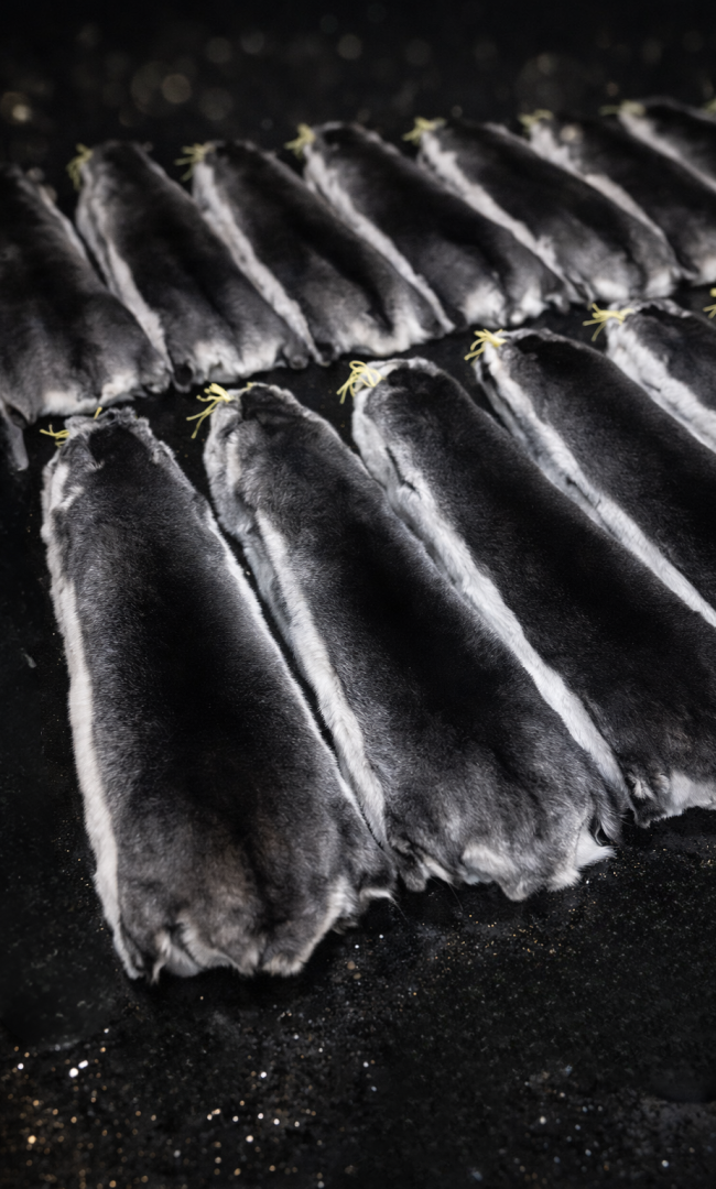 ChatGPT Image 16 déc. 2025, 21_39_34 - Modifié