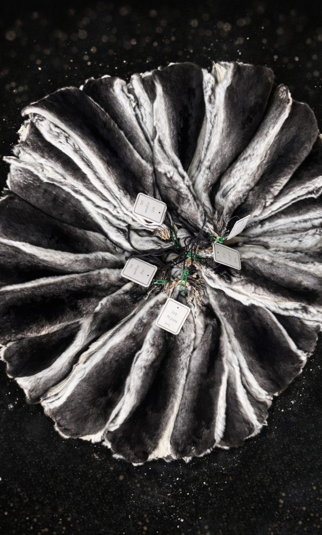 ChatGPT Image 16 déc. 2025, 22_00_44 - Modifié