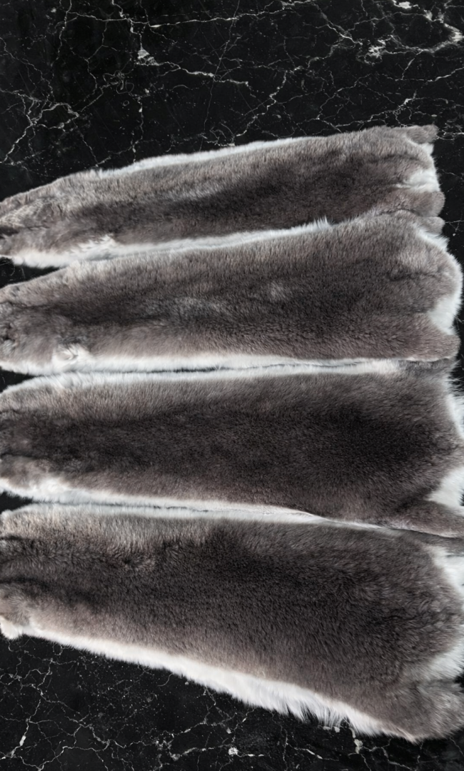 ChatGPT Image 21 déc. 2025, 19_05_22