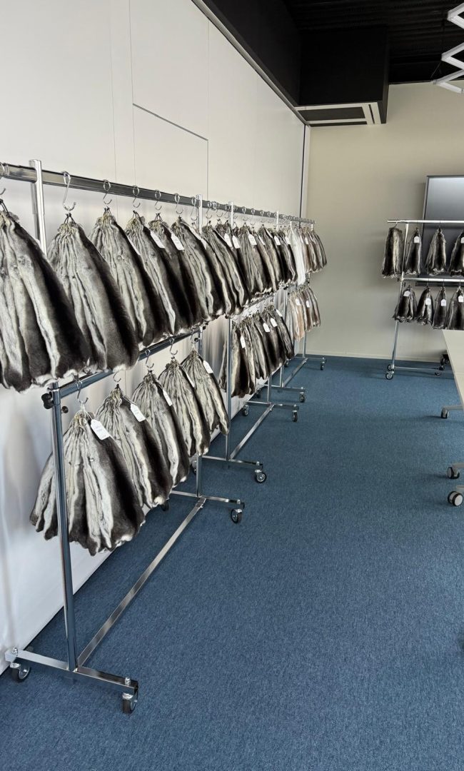 WhatsApp Image 2025-12-18 at 12.31.29 (3)