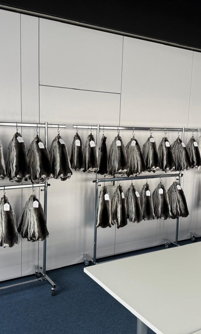 WhatsApp Image 2025-12-18 at 12.31.29