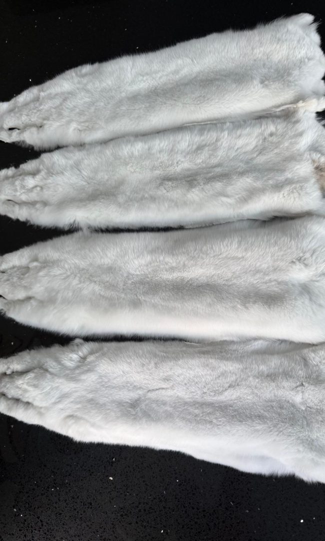 WhatsApp Image 2025-12-20 at 19.27.46 (1)