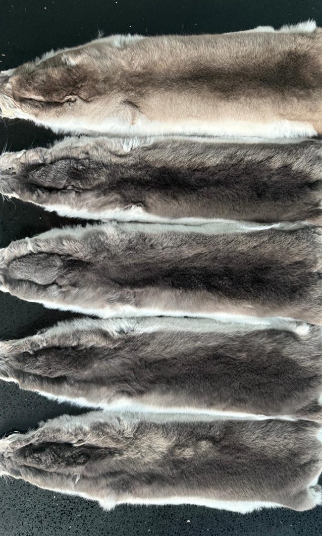 WhatsApp Image 2025-12-20 at 19.27.46 (10)