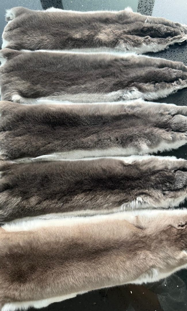 WhatsApp Image 2025-12-20 at 19.27.46 (11)