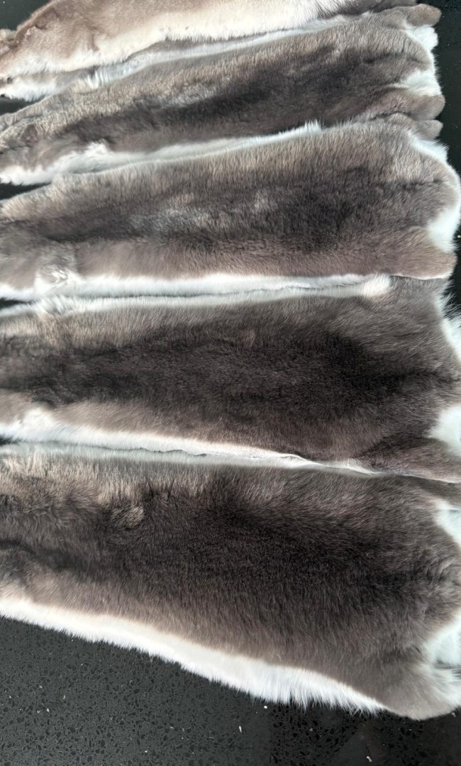 WhatsApp Image 2025-12-20 at 19.27.46 (13)