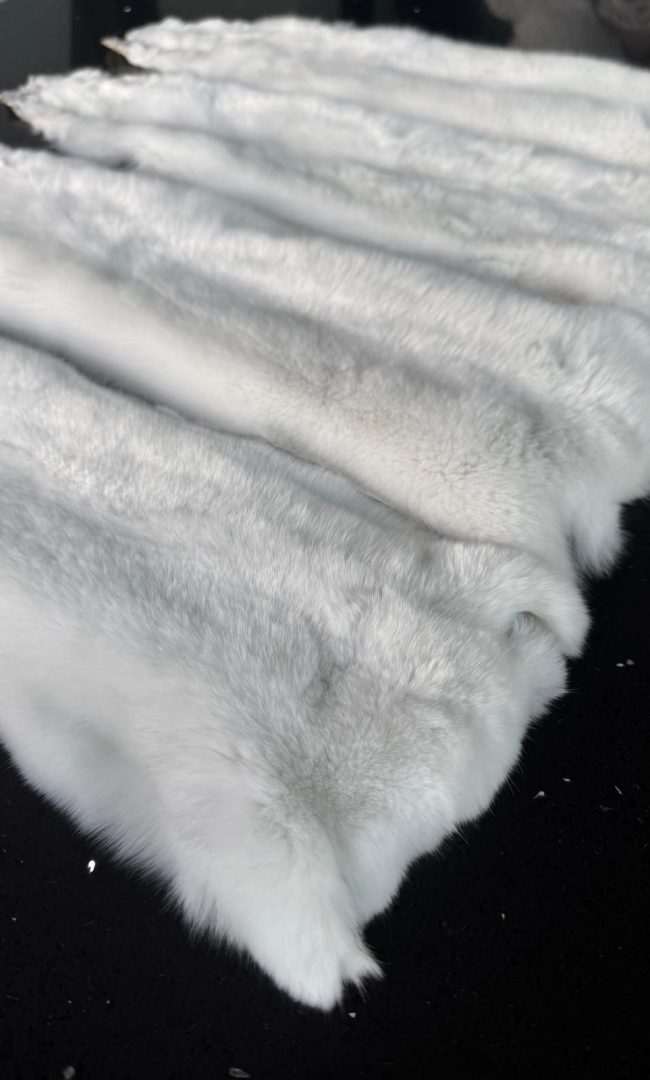 WhatsApp Image 2025-12-20 at 19.27.46 (2)