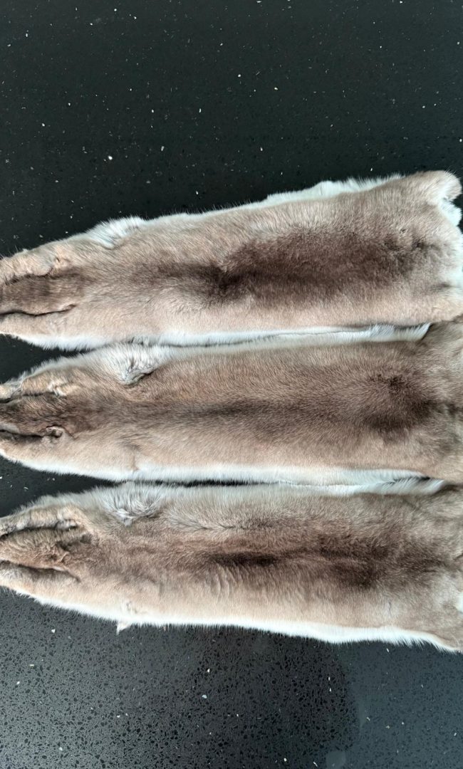 WhatsApp Image 2025-12-20 at 19.27.46 (3)