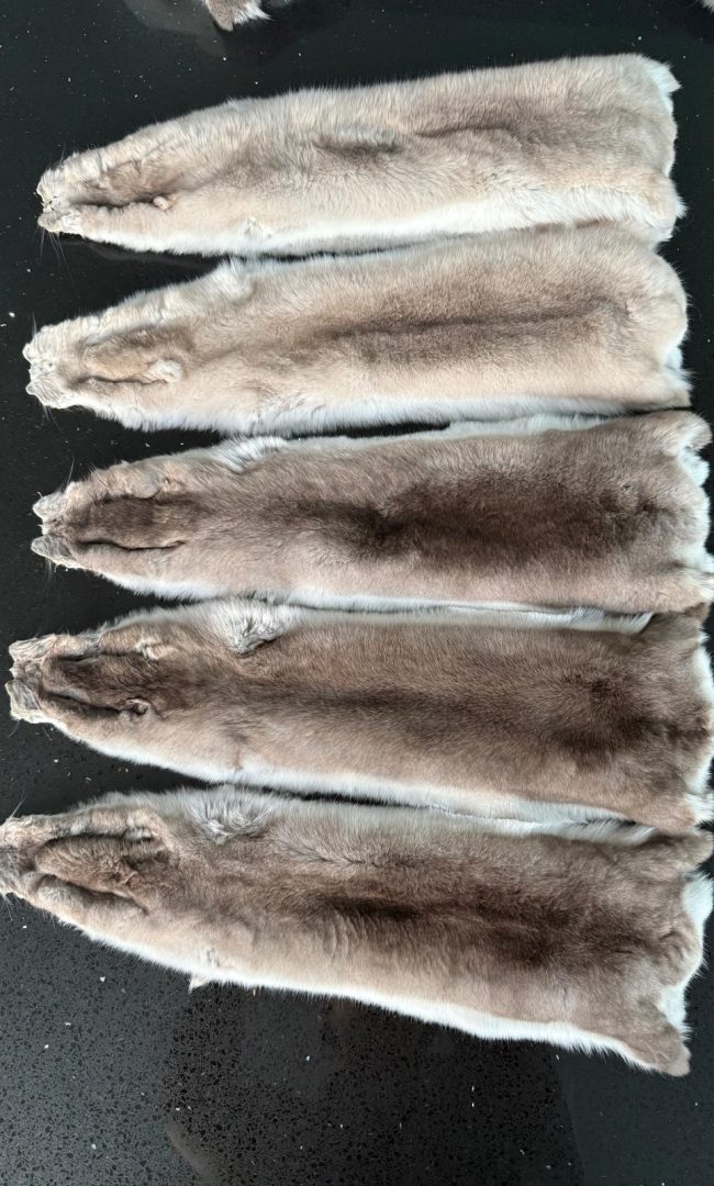 WhatsApp Image 2025-12-20 at 19.27.46 (4)