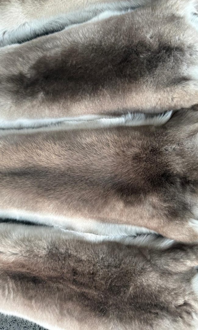 WhatsApp Image 2025-12-20 at 19.27.46 (5)