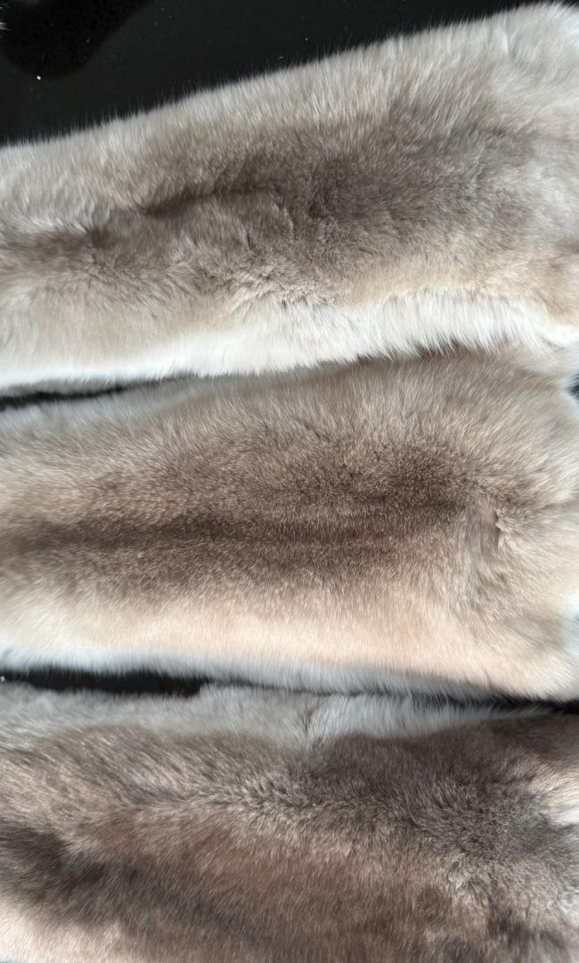 WhatsApp Image 2025-12-20 at 19.27.46 (6)