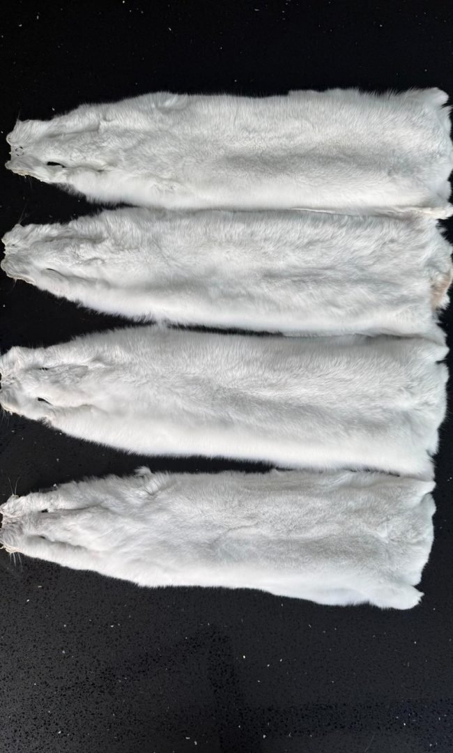 WhatsApp Image 2025-12-20 at 19.27.46